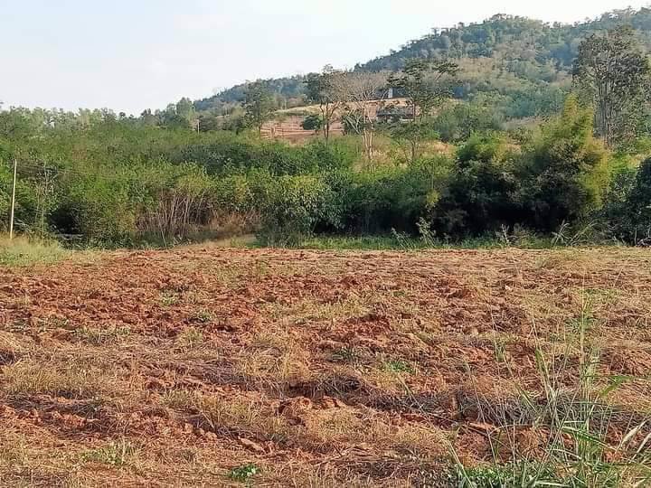 ขายที่ดินภบท5แปลงสวย-วิวสวย-ภูเขาล้อมรอบ