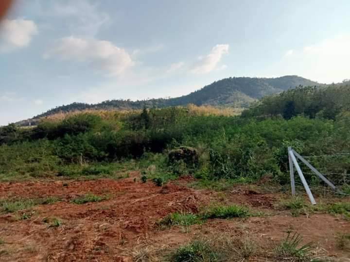 ขายที่ดินภบท5แปลงสวย-วิวสวย-ภูเขาล้อมรอบ