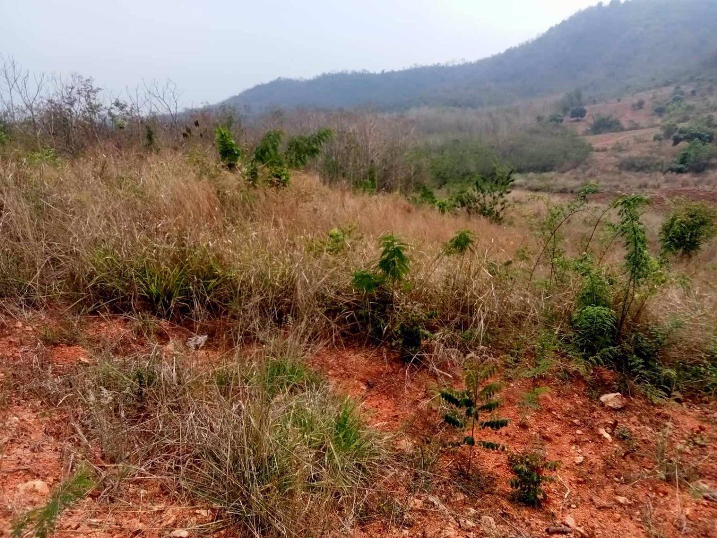 ขายที่ดินภบท5แปลงสวย-วิวสวย-ภูเขาล้อมรอบ