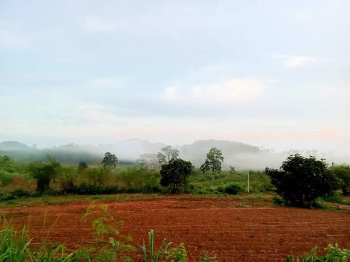 ขายที่ดินภบท5แปลงสวย-วิวสวย-ภูเขาล้อมรอบ