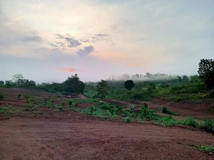 ขายที่ดินภบท5แปลงสวย-วิวสวย-ภูเขาล้อมรอบ