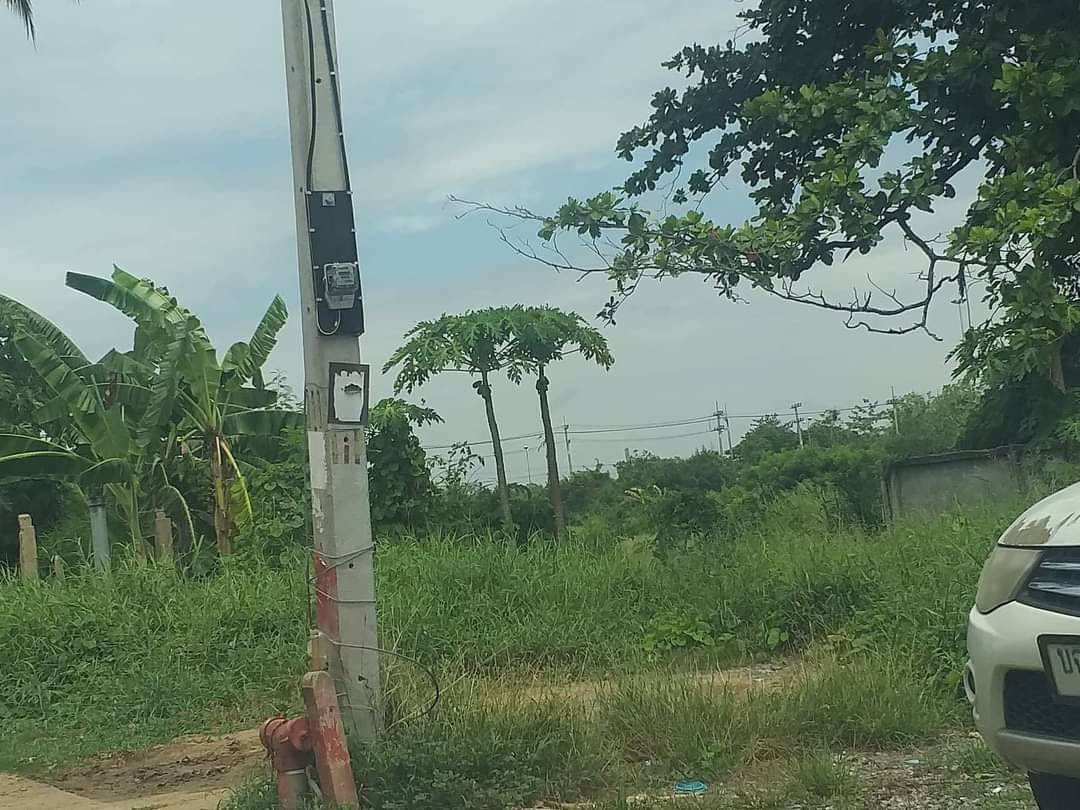 ขายที่ดิน-เนื้อที่-5ไร่เศษ-ตต้นโพธิ์-อเมือง-จสิงห์บุรี