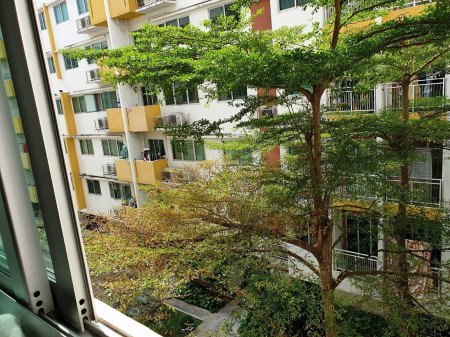 ขายด่วน-คอนโด-my-condo-ลาดพร้าว-27-ขนาดพื้นที่-25-ตรม-สนใจสอบถามโทรศัพท์-คุณเอ๋-081-434-5154