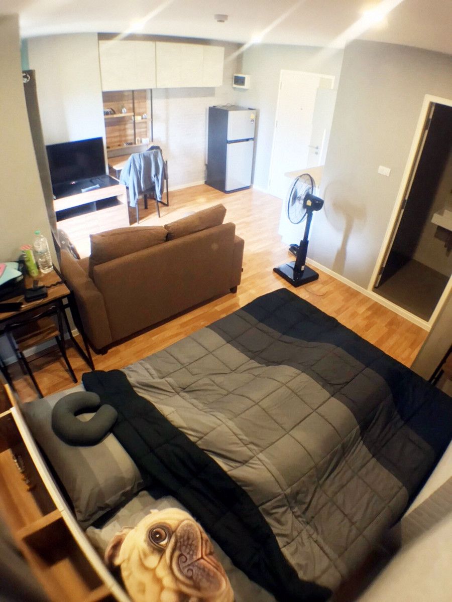 ให้เช่าห้องใหม่-ลุมพินี-วิลล์-สุขุมวิท-76-ใกล้-bts-แบริ่ง-ประกัน-1-เดือน-line-feelgoodhome