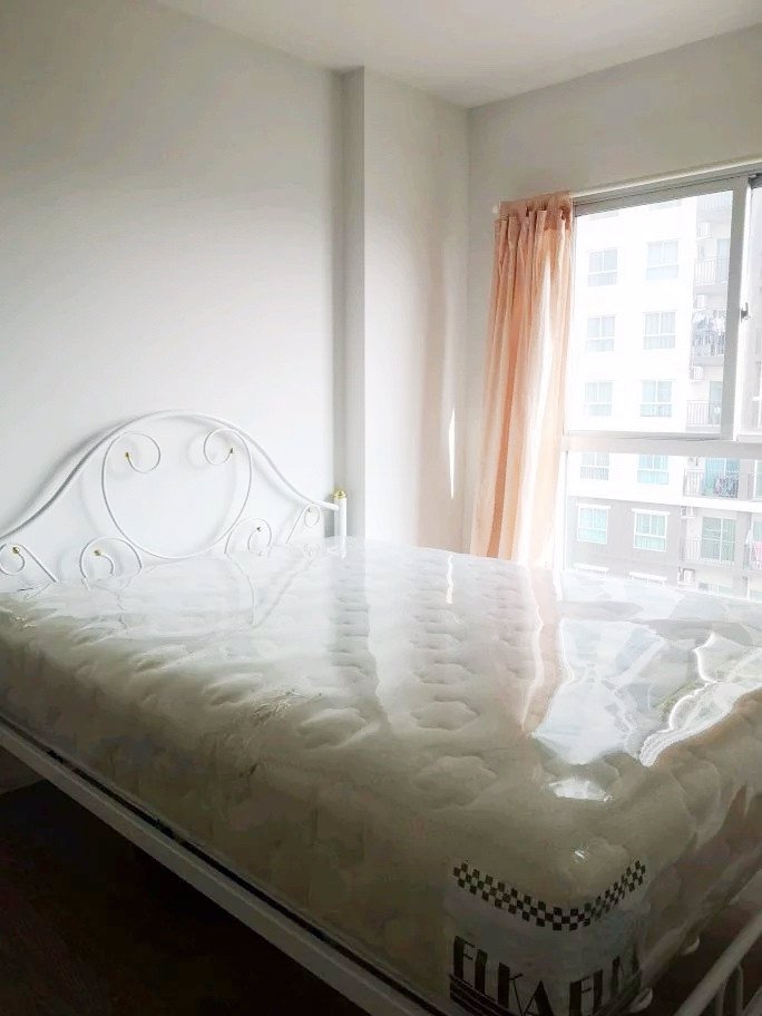 ให้เช่า-the-parkland-lite-สุขุมวิท-ปากน้ำ-bts-ปากน้ำ-ถูกที่สุด-6000-line-feelgoodhome