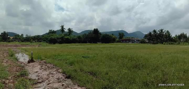 ที่วิวเขา-3-ไร่-บ้านน้ำโจน-ตหนองประดู่-อเลาขวัญ-จกาญจนบุรี