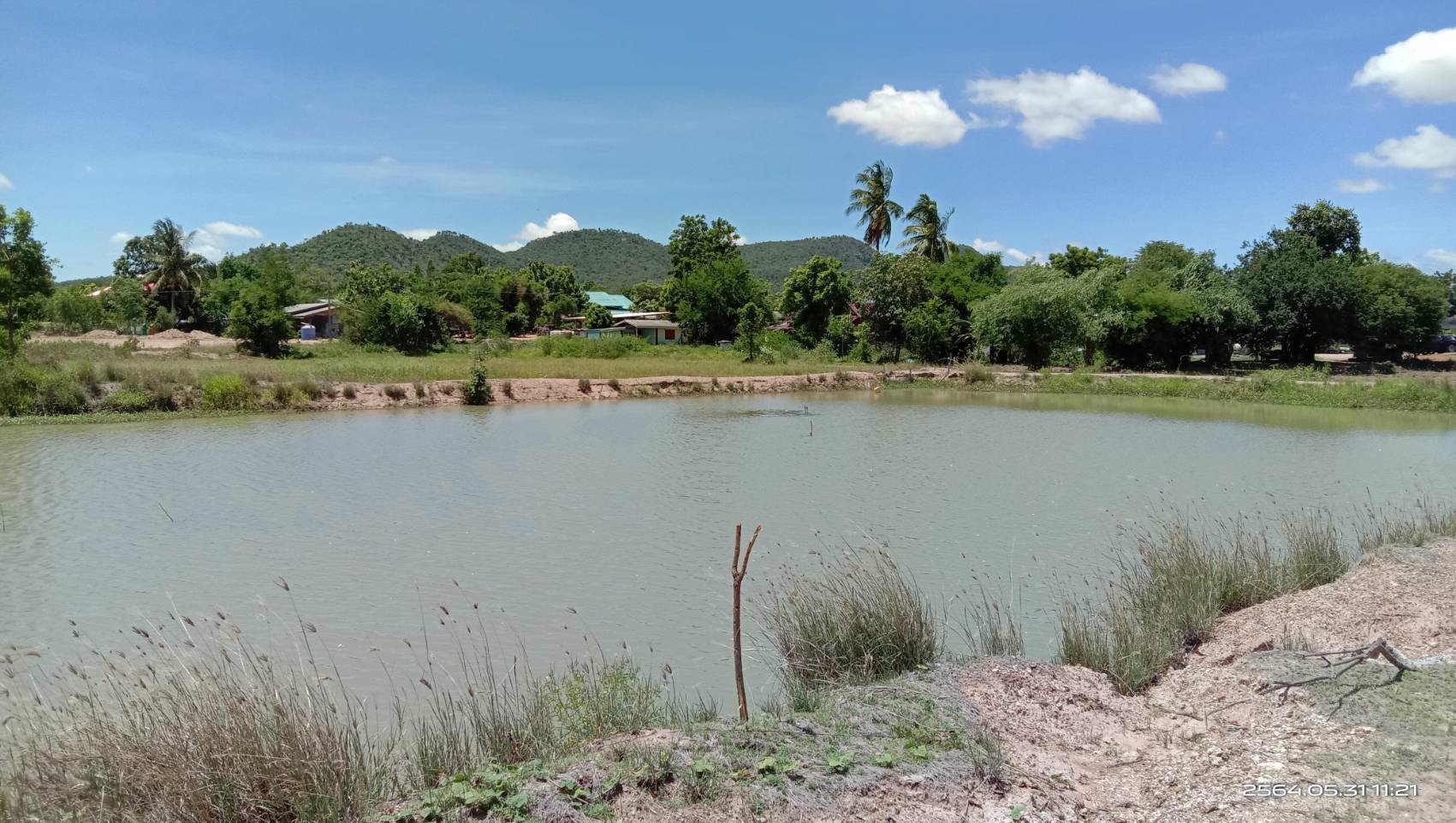 ที่วิวเขา-3-ไร่-บ้านน้ำโจน-ตหนองประดู่-อเลาขวัญ-จกาญจนบุรี