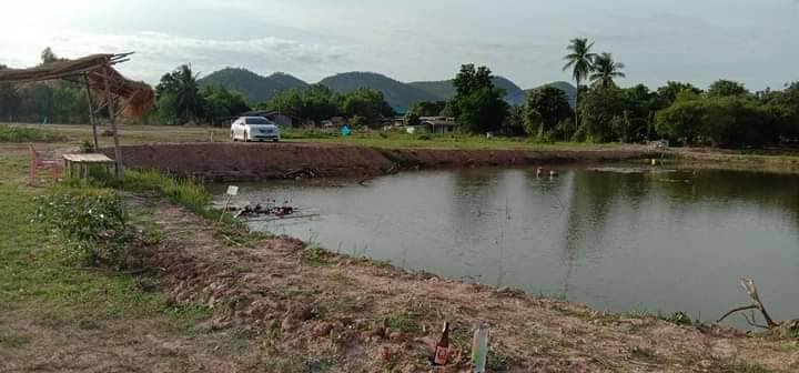 ที่วิวเขา-3-ไร่-บ้านน้ำโจน-ตหนองประดู่-อเลาขวัญ-จกาญจนบุรี