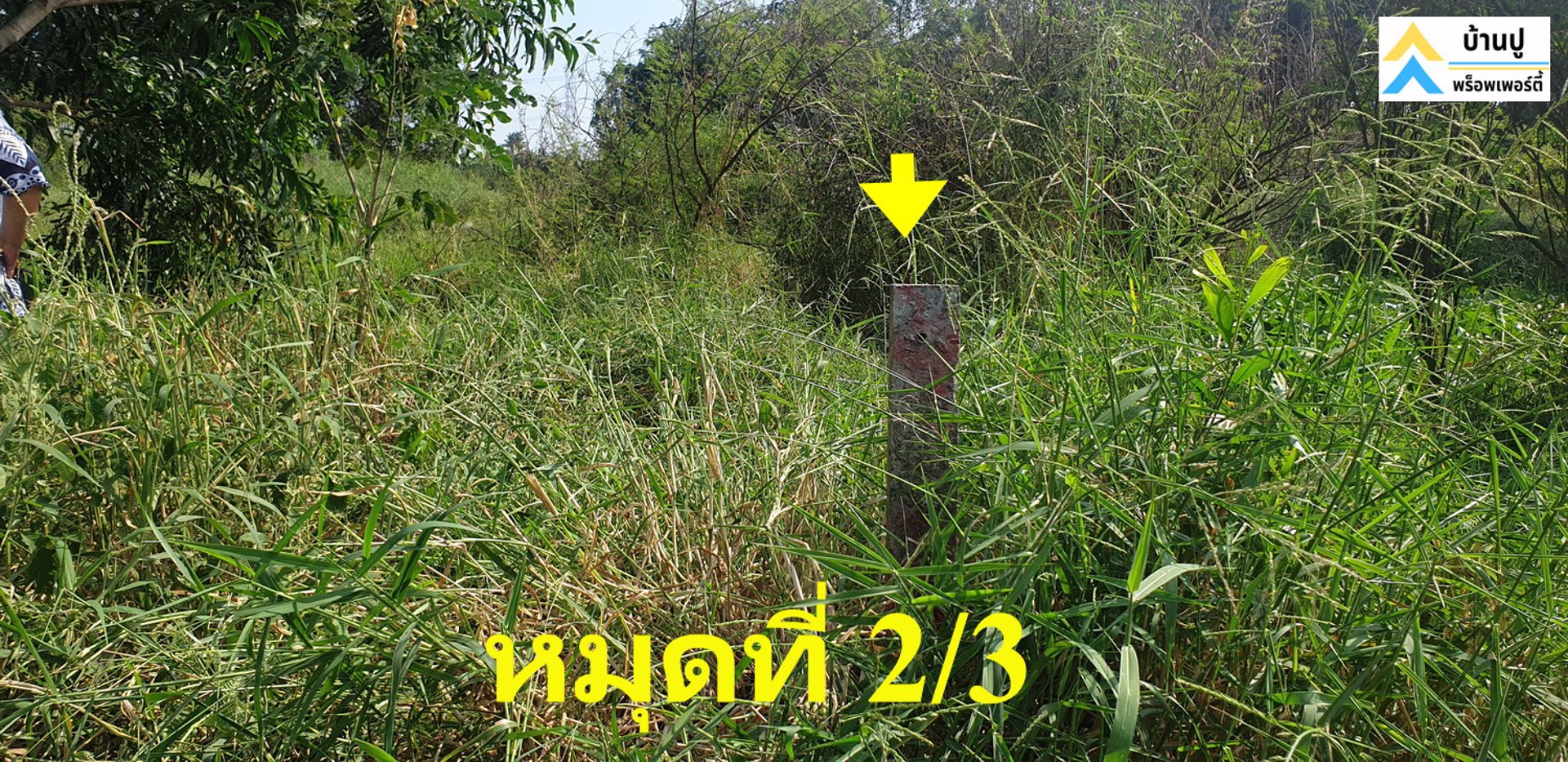 ขายที่ดินซอยสุวินทวงศ์-28-แยก-26-ถมแล้ว-150-ตรว-ด้านข้างติดคลอง-หน้าติดถนนสาธารณะ
