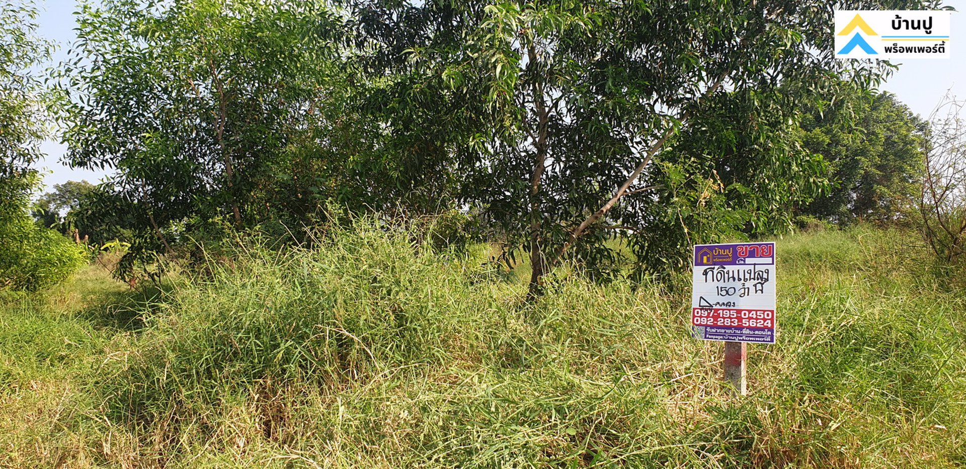 ขายที่ดินซอยสุวินทวงศ์-28-แยก-26-ถมแล้ว-150-ตรว-ด้านข้างติดคลอง-หน้าติดถนนสาธารณะ