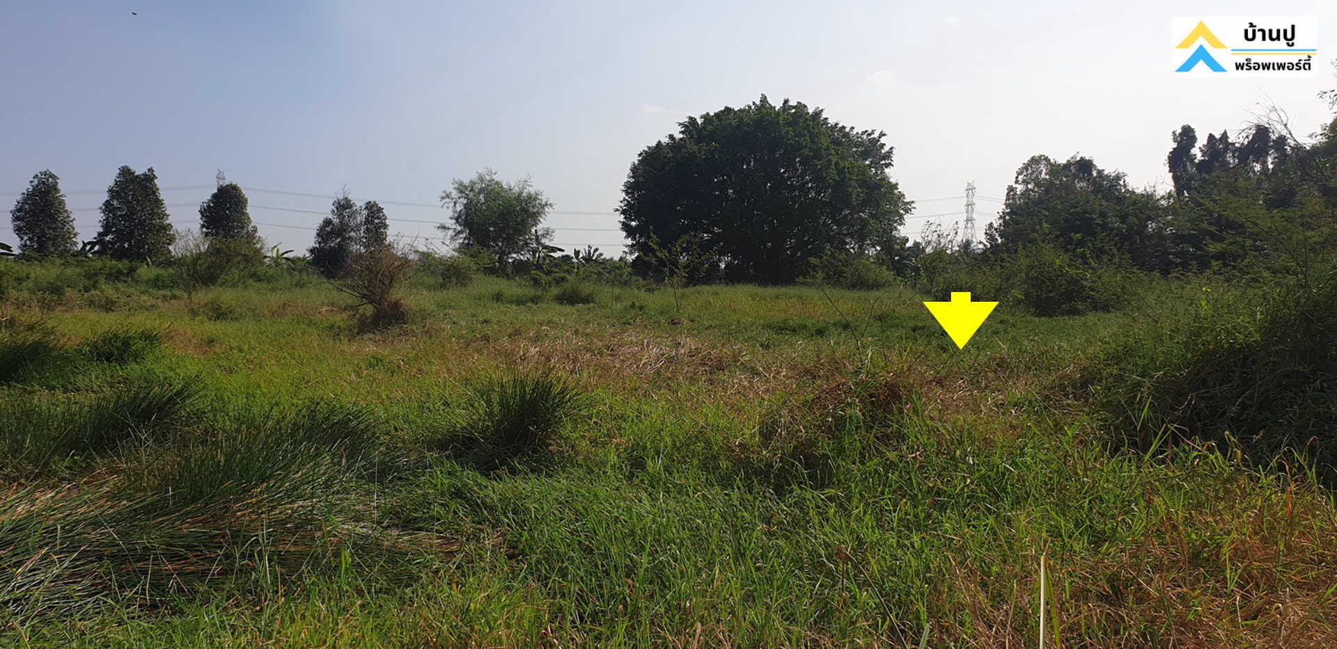 ขายที่ดินซอยสุวินทวงศ์-28-แยก-26-ถมแล้ว-150-ตรว-ด้านข้างติดคลอง-หน้าติดถนนสาธารณะ