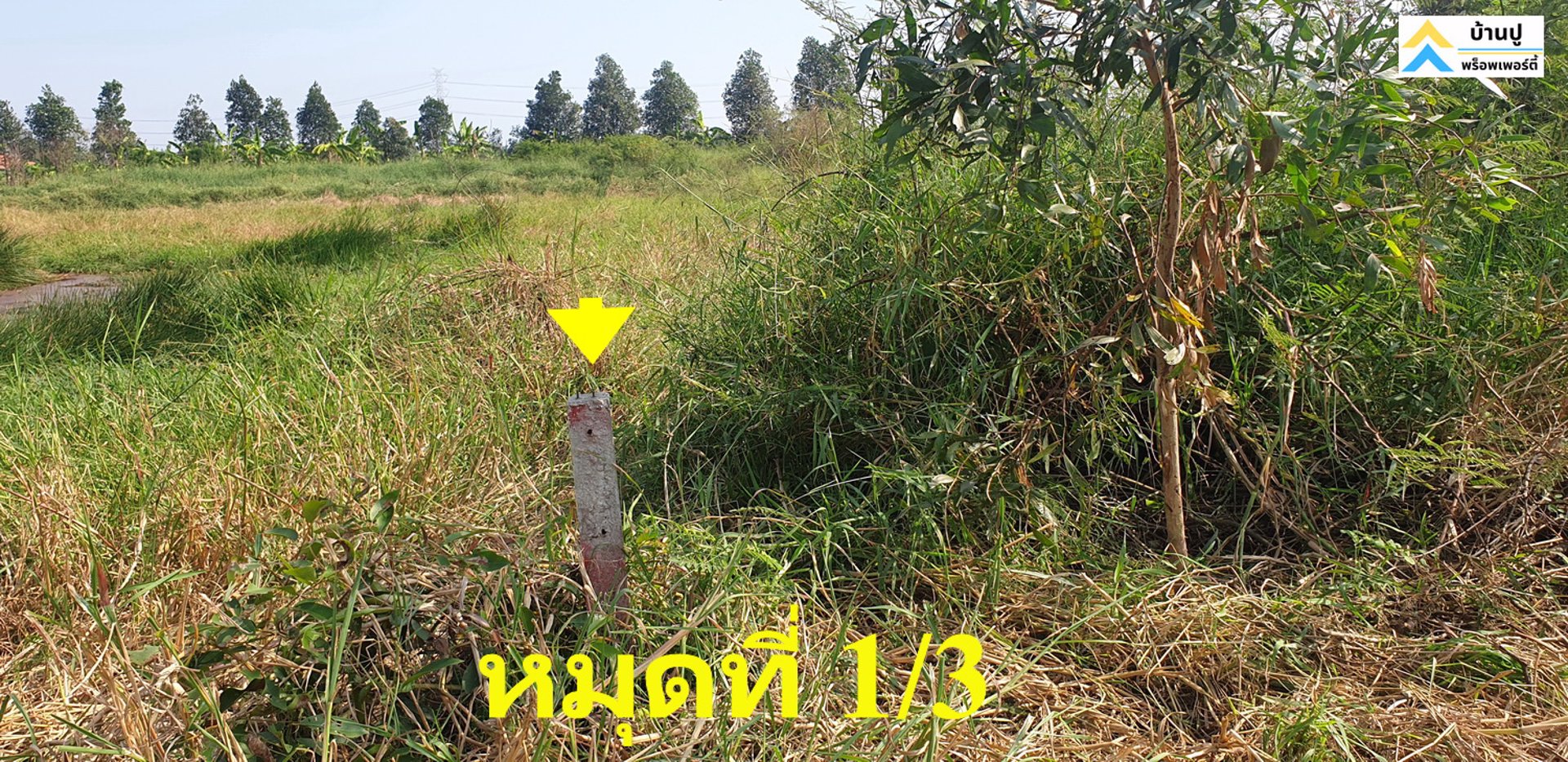 ขายที่ดินซอยสุวินทวงศ์-28-แยก-26-ถมแล้ว-150-ตรว-ด้านข้างติดคลอง-หน้าติดถนนสาธารณะ