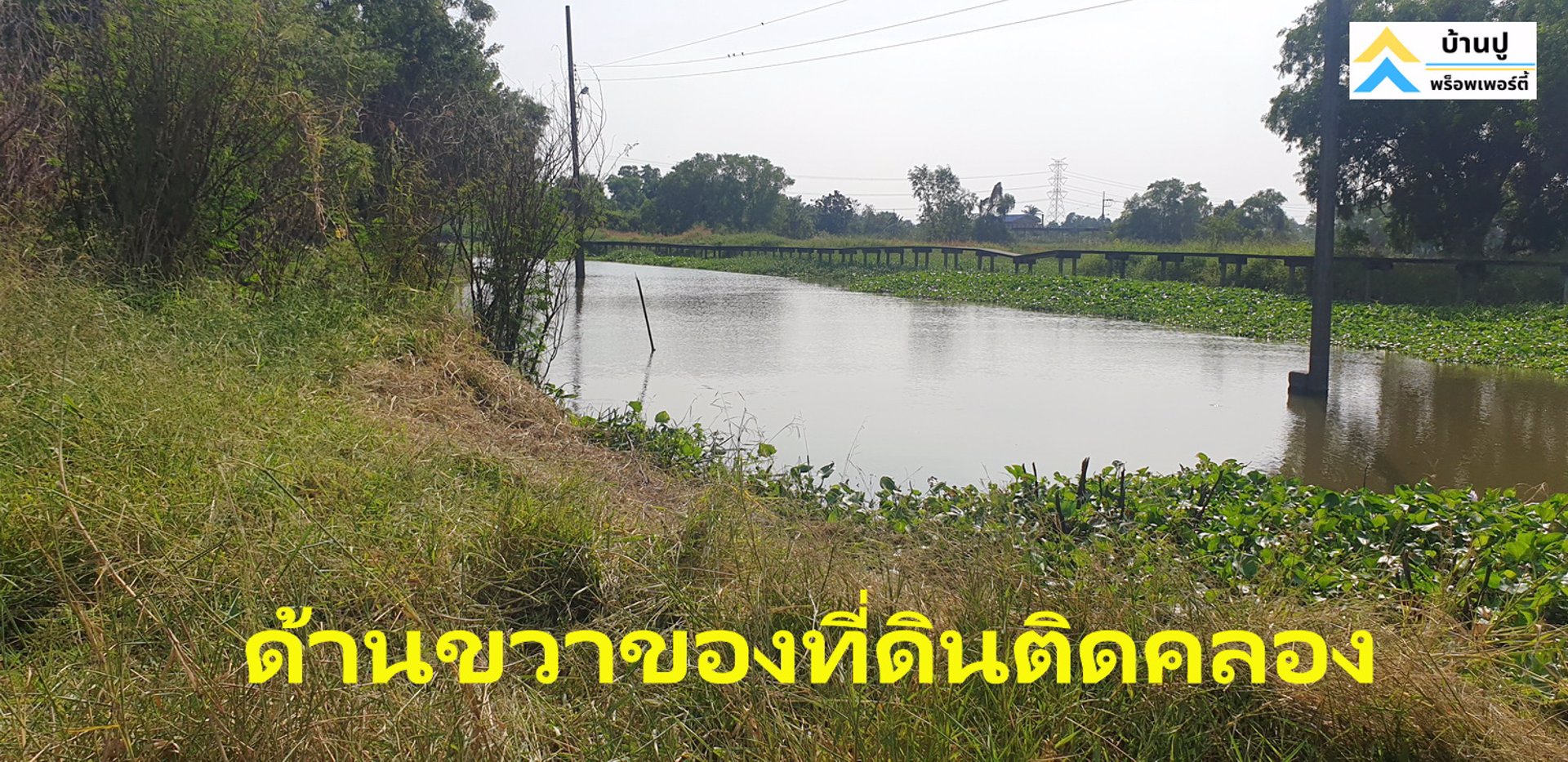 ขายที่ดินซอยสุวินทวงศ์-28-แยก-26-ถมแล้ว-150-ตรว-ด้านข้างติดคลอง-หน้าติดถนนสาธารณะ