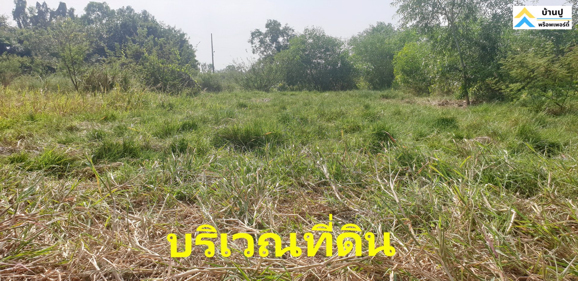 ขายที่ดินซอยสุวินทวงศ์-28-แยก-26-ถมแล้ว-150-ตรว-ด้านข้างติดคลอง-หน้าติดถนนสาธารณะ
