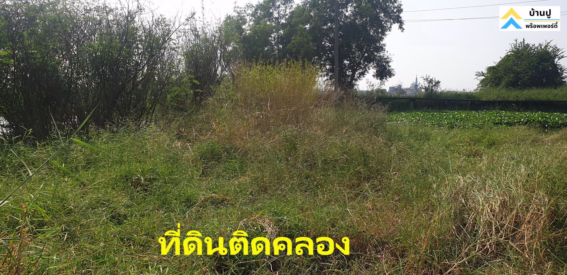 ขายที่ดินซอยสุวินทวงศ์-28-แยก-26-ถมแล้ว-150-ตรว-ด้านข้างติดคลอง-หน้าติดถนนสาธารณะ