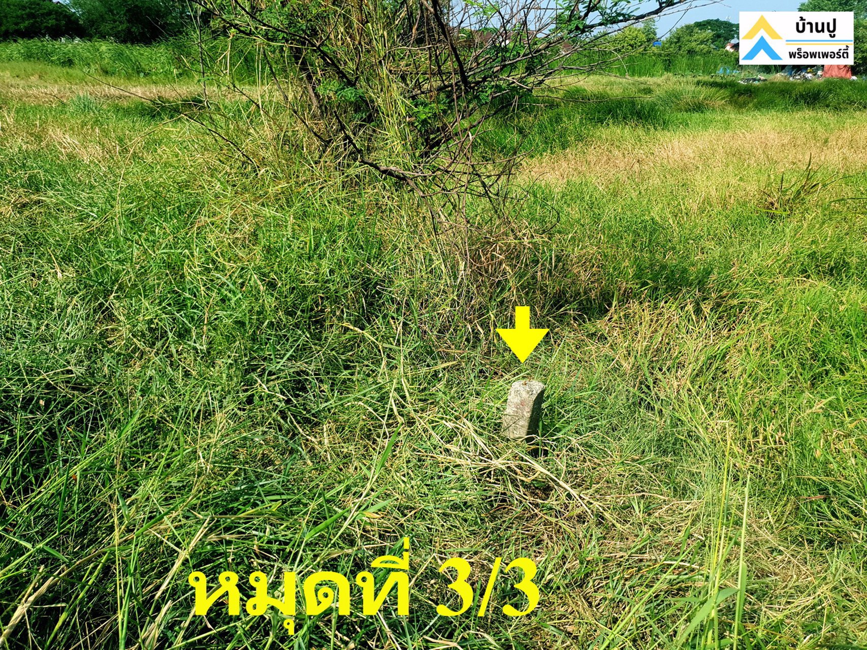ขายที่ดินซอยสุวินทวงศ์-28-แยก-26-ถมแล้ว-150-ตรว-ด้านข้างติดคลอง-หน้าติดถนนสาธารณะ