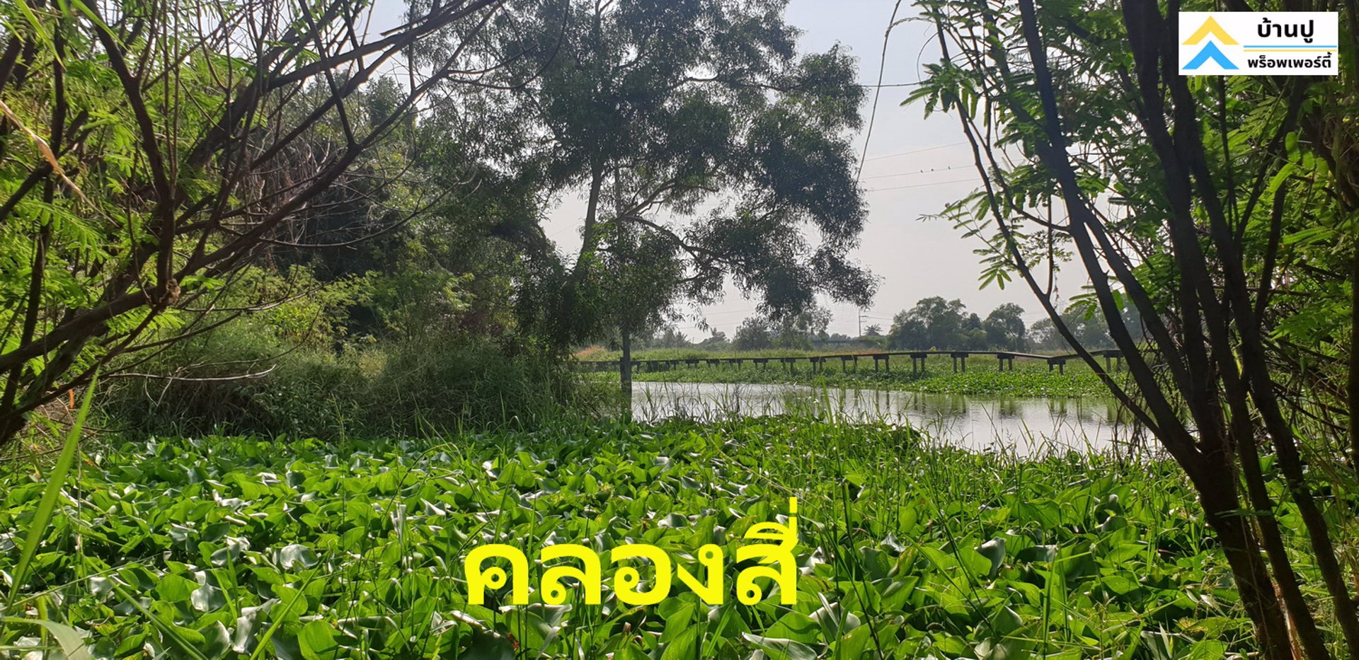 ขายที่ดินซอยสุวินทวงศ์-28-แยก-26-ถมแล้ว-150-ตรว-ด้านข้างติดคลอง-หน้าติดถนนสาธารณะ