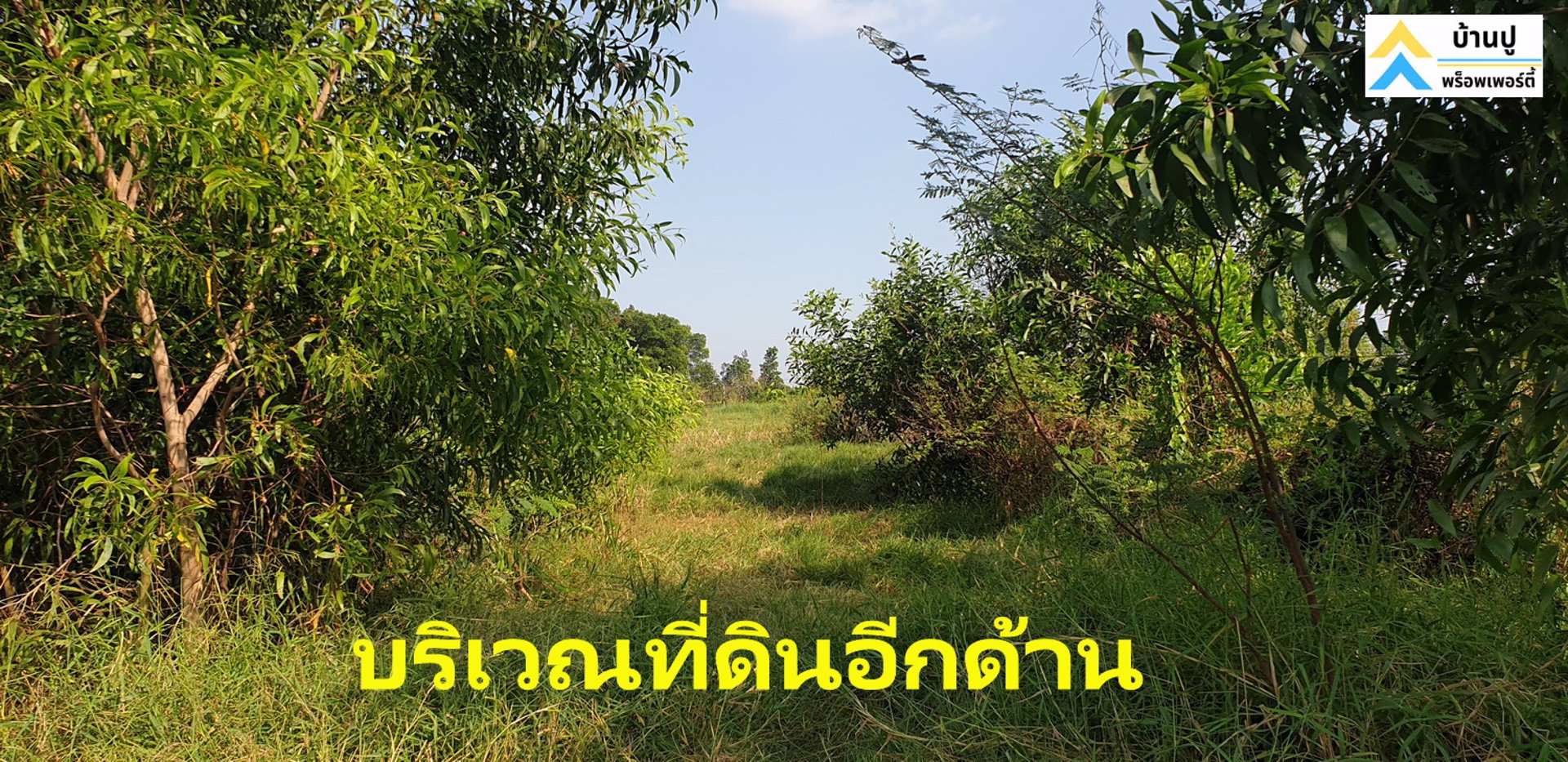 ขายที่ดินซอยสุวินทวงศ์-28-แยก-26-ถมแล้ว-150-ตรว-ด้านข้างติดคลอง-หน้าติดถนนสาธารณะ