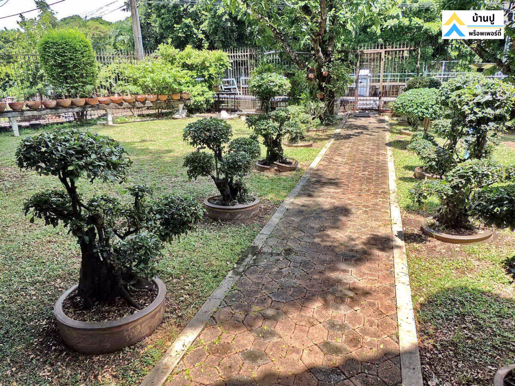 ขายบ้านสวนพร้อมที่ดินติดคลองพระโขนงย่านอ่อนนุช-ซอยอ่อนนุช-17-แยก-12-เขตสวนหลวง-กรุงเทพฯ