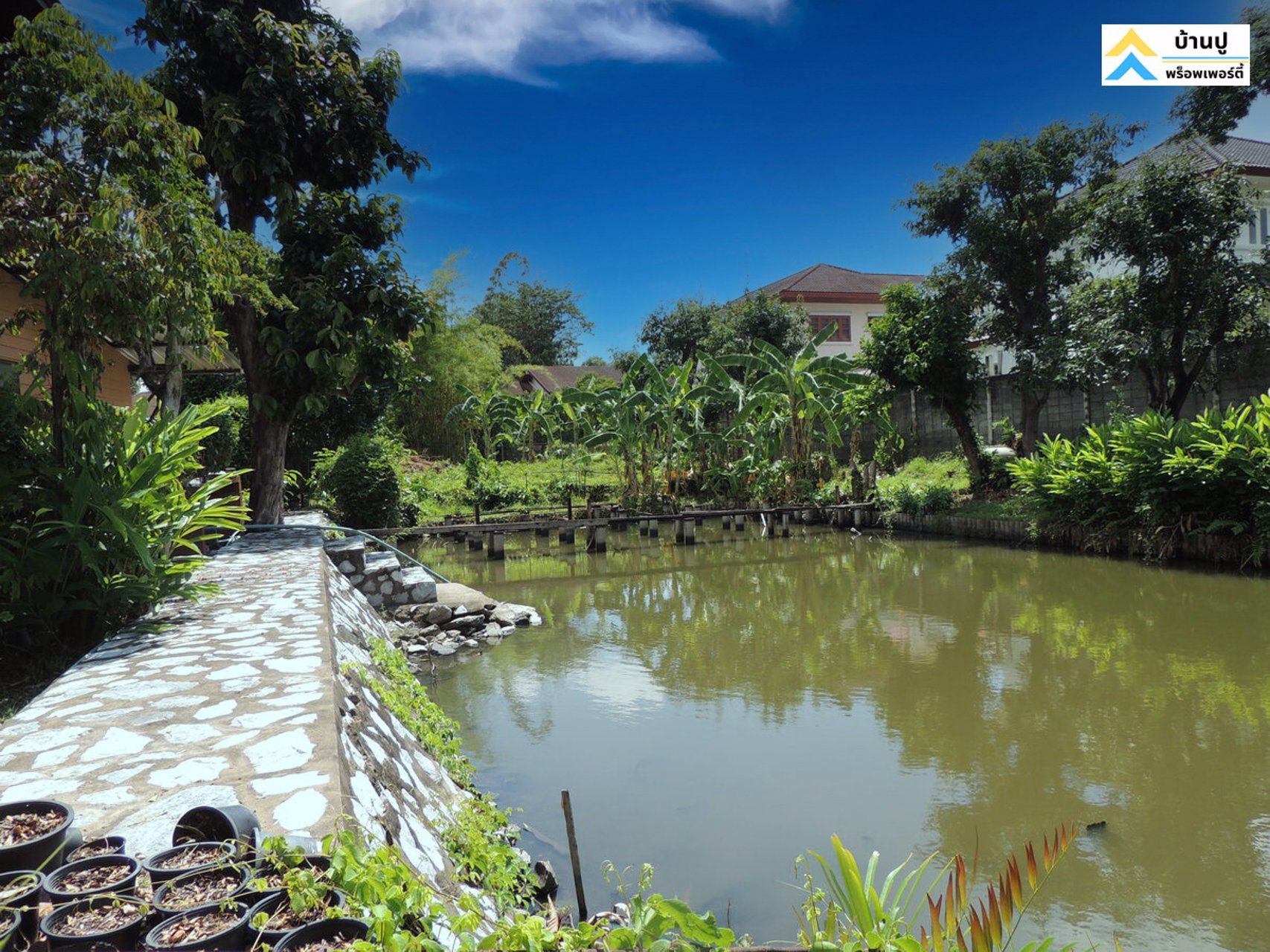 ขายบ้านสวนพร้อมที่ดินติดคลองพระโขนงย่านอ่อนนุช-ซอยอ่อนนุช-17-แยก-12-เขตสวนหลวง-กรุงเทพฯ