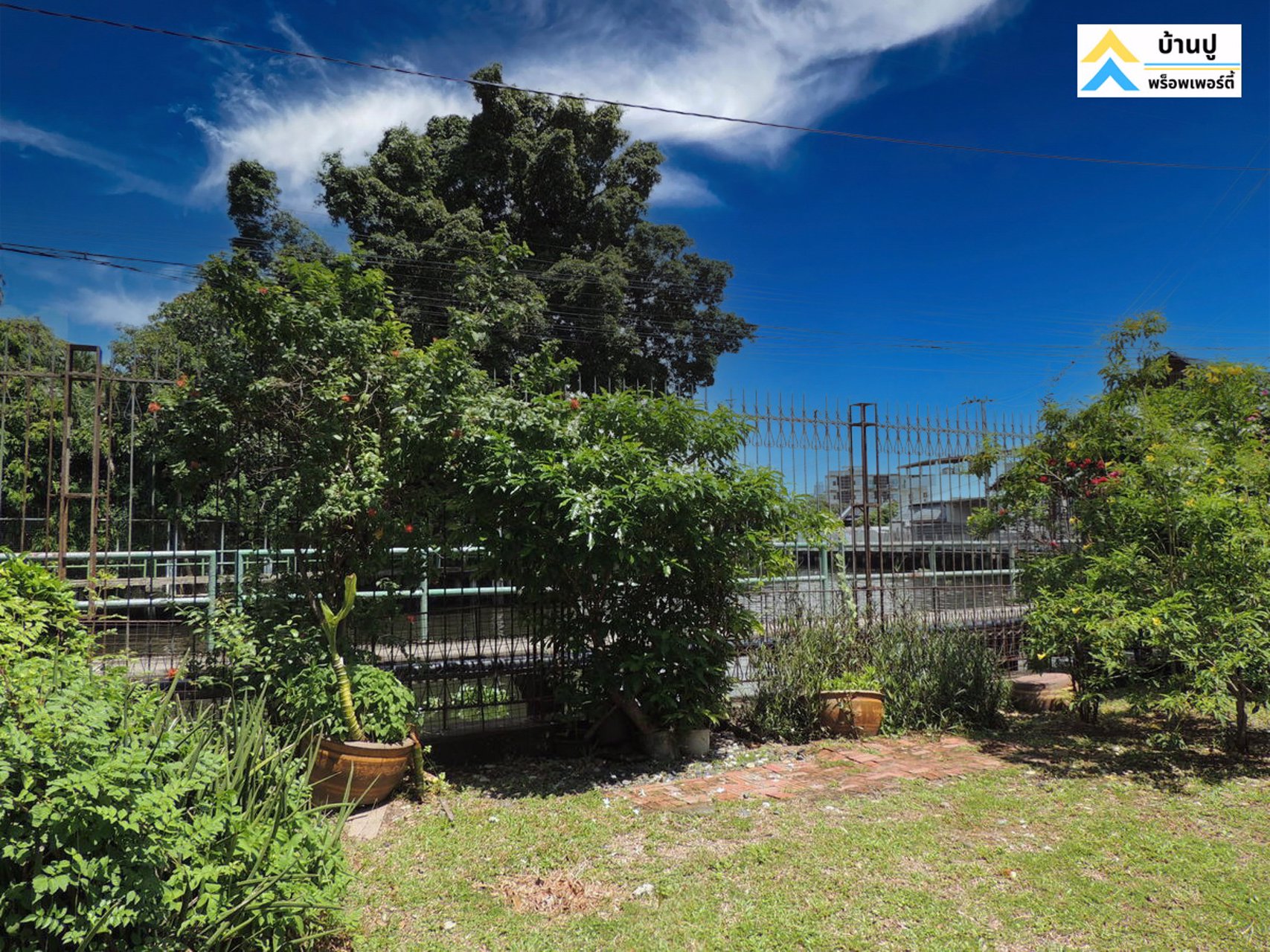 ขายบ้านสวนพร้อมที่ดินติดคลองพระโขนงย่านอ่อนนุช-ซอยอ่อนนุช-17-แยก-12-เขตสวนหลวง-กรุงเทพฯ