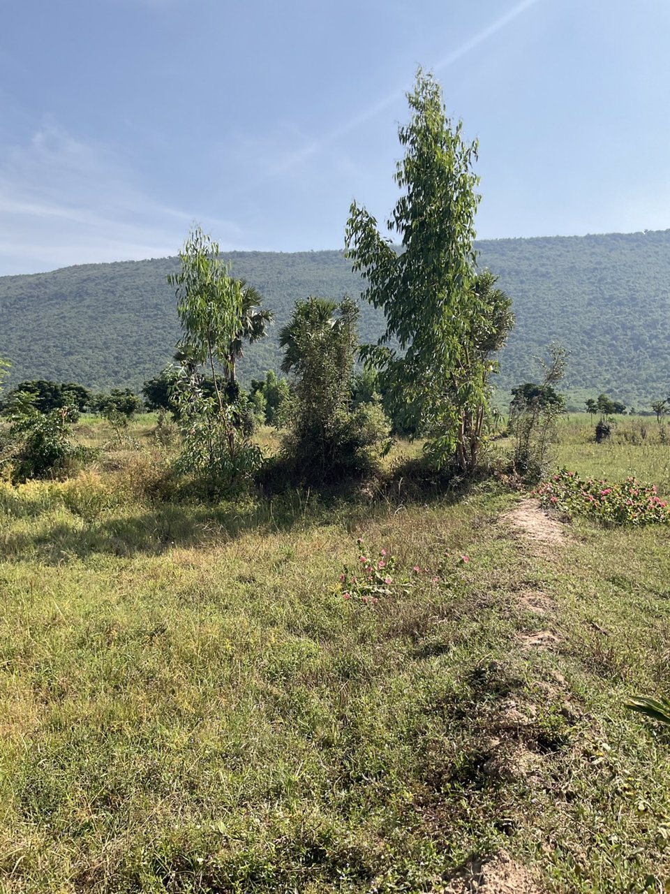 เฟส-c8-ที่ดินติดถนนลาดยาง-วิวเขาตะเภา