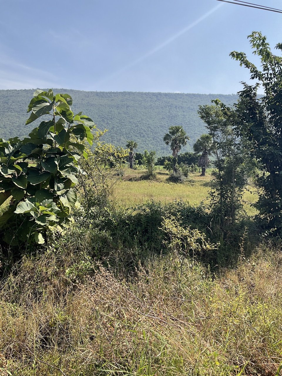 เฟส-c8-ที่ดินติดถนนลาดยาง-วิวเขาตะเภา