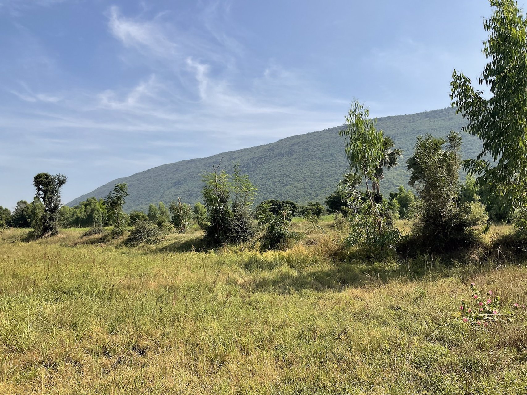 เฟส-c8-ที่ดินติดถนนลาดยาง-วิวเขาตะเภา