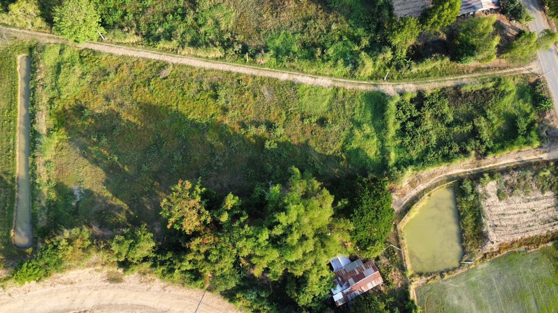 ขายที่ดิน-ตำบลท่าฉนวน-อำเภอกงไกรลาศ-จังหวัดสุโขทัย-เลขโฉนด-13915