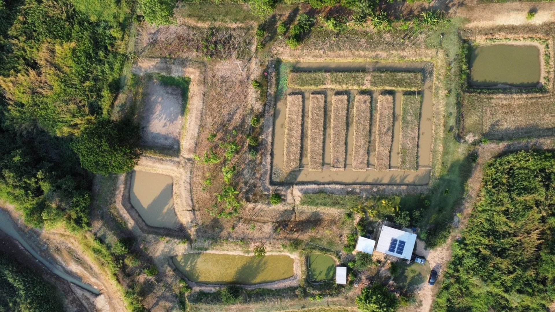 ขายที่ดิน-ตำบลท่าฉนวน-อำเภอกงไกรลาศ-จังหวัดสุโขทัย-เลขโฉนด-13915