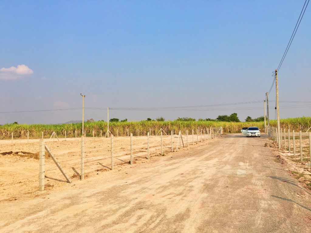 ขายที่ดินแปลงสวย-3งาน-จอมบึง-ราชบุรี-ราคาเบาๆ-ทำเลสวย-วิวภูเขา-น้ำไฟพร้อม-ใกล้โรงพยาบลยุพราช-ฟรีโอน