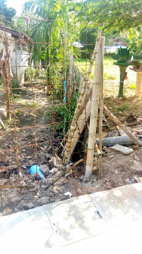 ขายที่ดิน-ถมแล้ว-110-ตรว-หน้ากว้าง-ติดถนน-2-ด้าน-น้ำไฟพร้อม-เหมาะสร้างบ้าน-อสันทราย-จเชียงใหม่