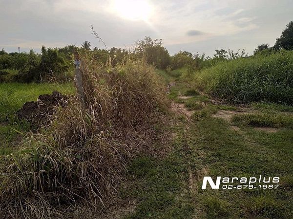 62092478-ขายที่ดินแปลงสวย-ขนาด-248-ตรว-อำเภอสูงเนิน-