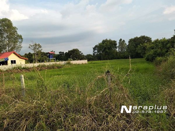 62092478-ขายที่ดินแปลงสวย-ขนาด-248-ตรว-อำเภอสูงเนิน-