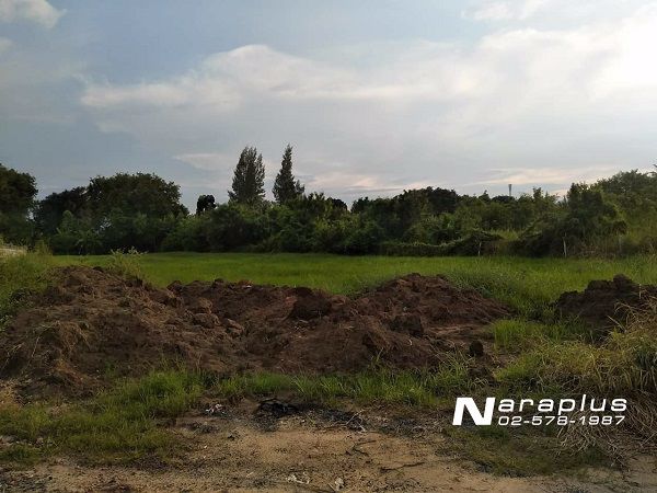 62092478-ขายที่ดินแปลงสวย-ขนาด-248-ตรว-อำเภอสูงเนิน-