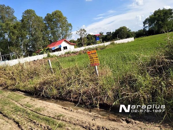 62092478-ขายที่ดินแปลงสวย-ขนาด-248-ตรว-อำเภอสูงเนิน-