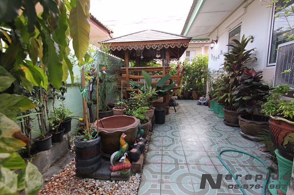 62102528-ขายบ้านเดี่ยวชั้นเดียว-ขนาด-525-ตรว-มซื่อตรงรังสิต-คลองสาม-ธัญบุรี-