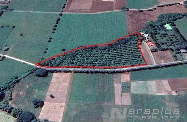 62102550-ขายที่ดิน-ขนาด-10-ไร่-106-ตรว-ติดถนนสระบุรี-หล่มสัก-เมืองเพชรบูรณ์