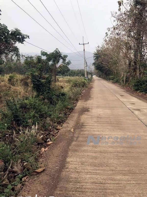 62102550-ขายที่ดิน-ขนาด-10-ไร่-106-ตรว-ติดถนนสระบุรี-หล่มสัก-เมืองเพชรบูรณ์