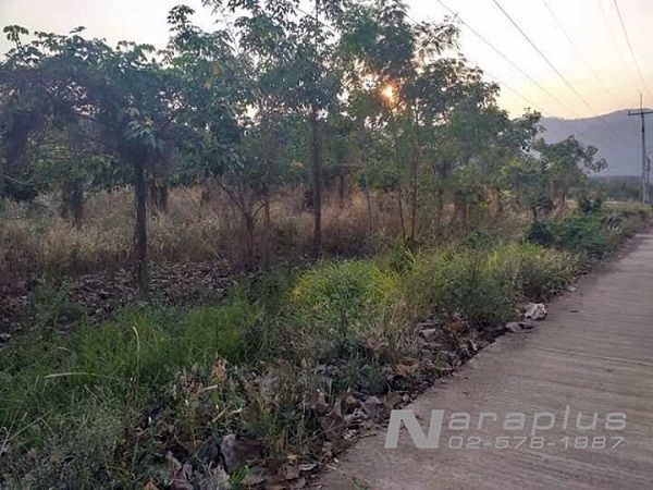 62102550-ขายที่ดิน-ขนาด-10-ไร่-106-ตรว-ติดถนนสระบุรี-หล่มสัก-เมืองเพชรบูรณ์