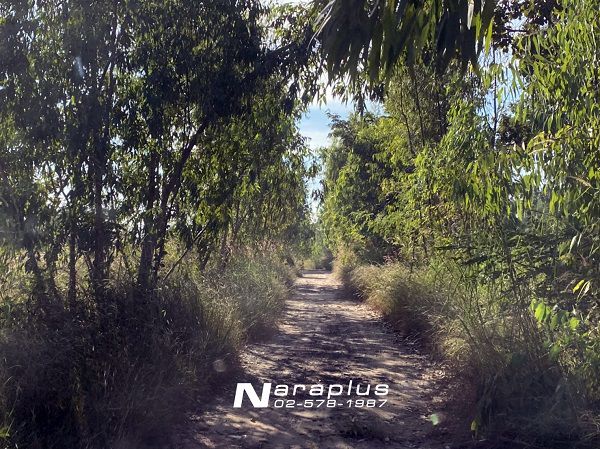 62082098-ขายที่ดินแปลงสวย-ขนาด-1-ไร่-98-ตรว-วารินชำราบ-อุบลราชธานี