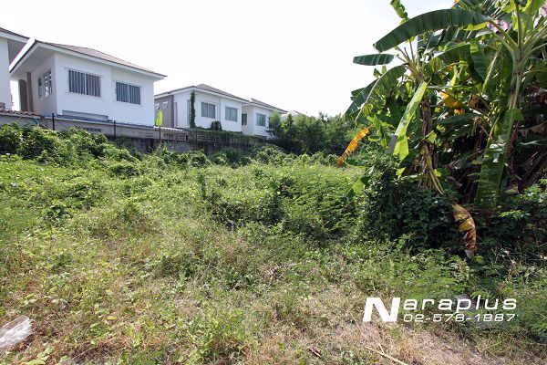 62112778-ขายที่ดินถมแล้ว-เนื้อที่-78-ตรว-หลังตลาดโกสุมรวมใจ-ดอนเมือง