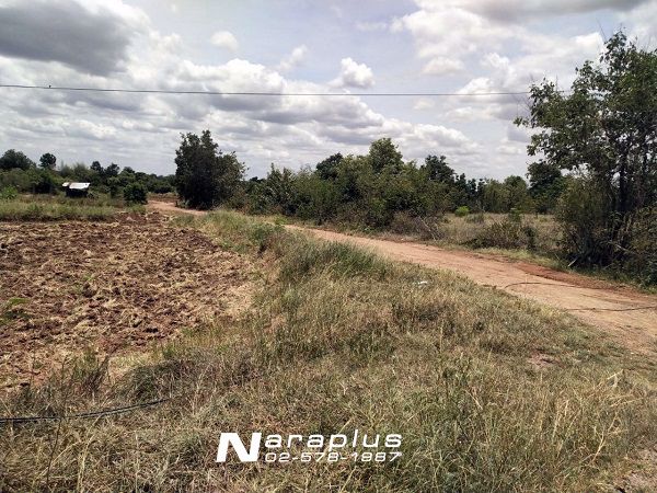 62122808-ขายที่ดินแปลงสวย-ขนาด-10-ไร่-72-ตรว-บ้านโนนเสลา-อำเภอสีคิ้ว