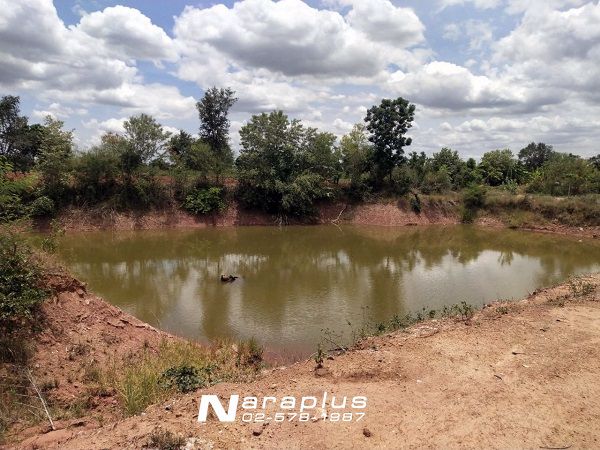 62122808-ขายที่ดินแปลงสวย-ขนาด-10-ไร่-72-ตรว-บ้านโนนเสลา-อำเภอสีคิ้ว