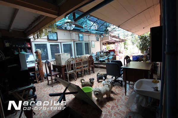 61093300-ขายด่วน-บ้านพร้อมอยู่-เนื้อที่-109-ตรว-พระราม-9