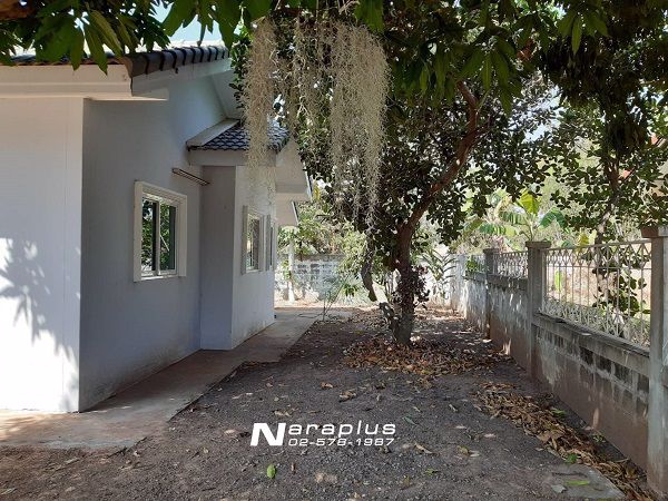 62122858-ขายด่วน-บ้านเดี่ยวชั้นเดียว-เนื้อที่-100-ตรว-อำเภอปักธงชัย-นครราชสีมา