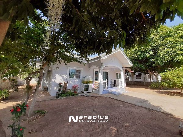 62122858-ขายด่วน-บ้านเดี่ยวชั้นเดียว-เนื้อที่-100-ตรว-อำเภอปักธงชัย-นครราชสีมา