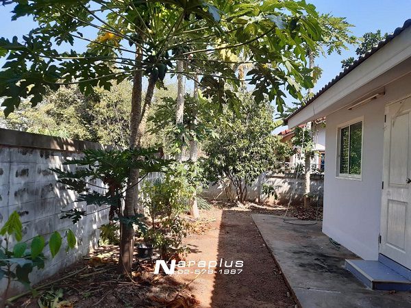 62122858-ขายด่วน-บ้านเดี่ยวชั้นเดียว-เนื้อที่-100-ตรว-อำเภอปักธงชัย-นครราชสีมา