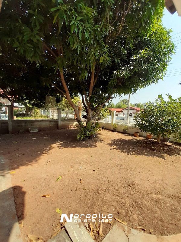 62122858-ขายด่วน-บ้านเดี่ยวชั้นเดียว-เนื้อที่-100-ตรว-อำเภอปักธงชัย-นครราชสีมา