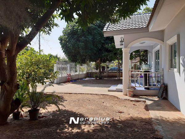 62122858-ขายด่วน-บ้านเดี่ยวชั้นเดียว-เนื้อที่-100-ตรว-อำเภอปักธงชัย-นครราชสีมา